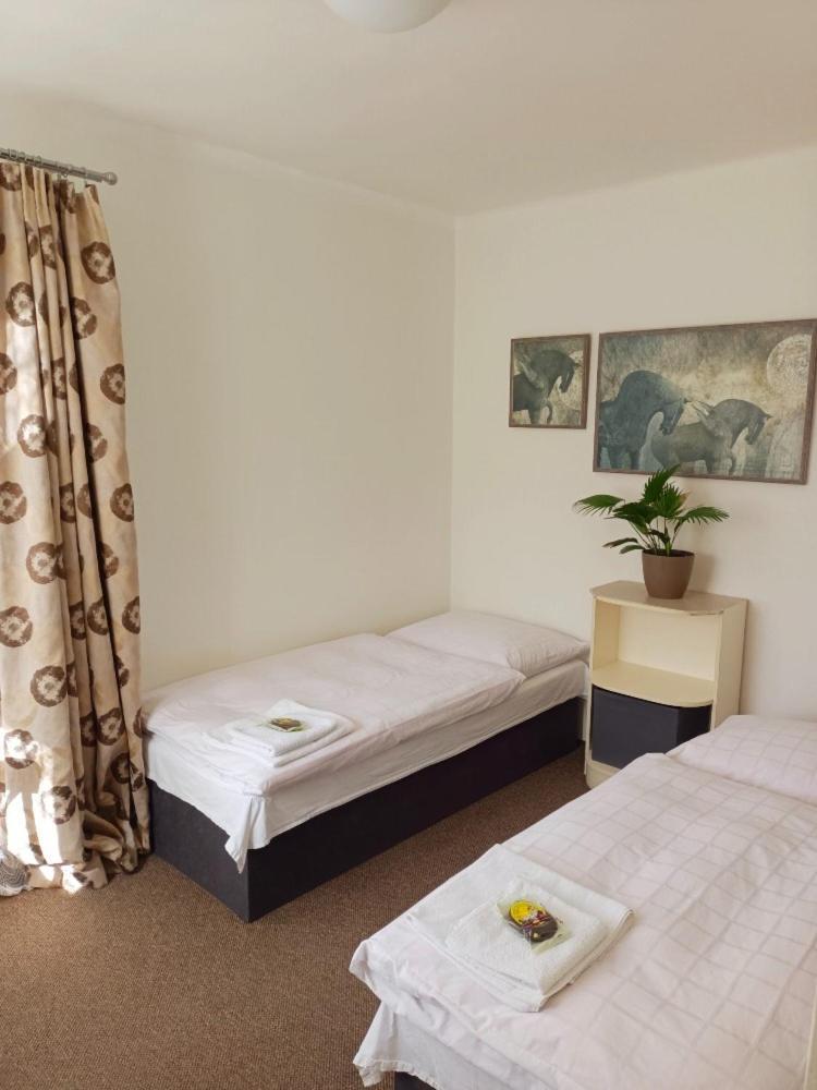 Homestay Lovely And Free Parking *