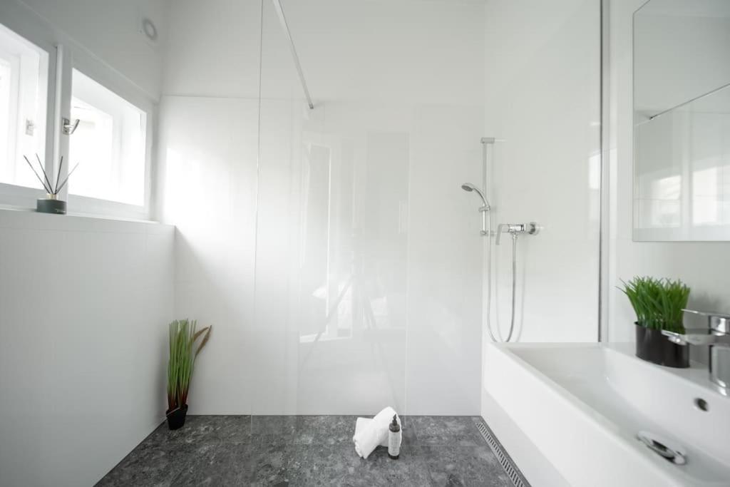 3b Bright Beautiful Newly Renovated 3br Apartamento Praga