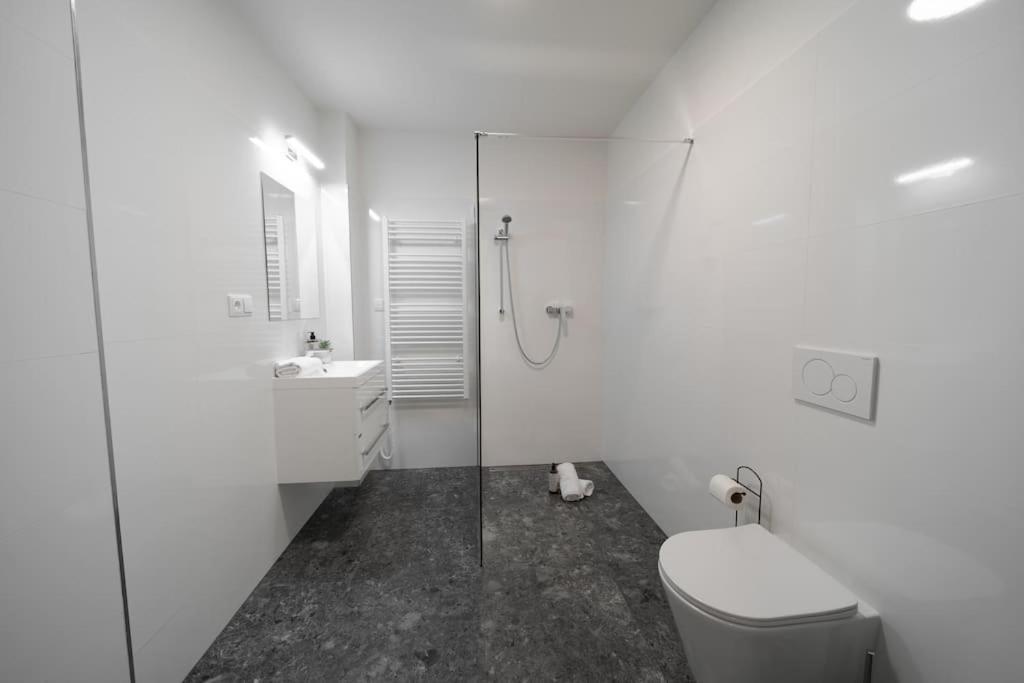 Apartamento 3b Bright Beautiful Newly Renovated 3br Praga