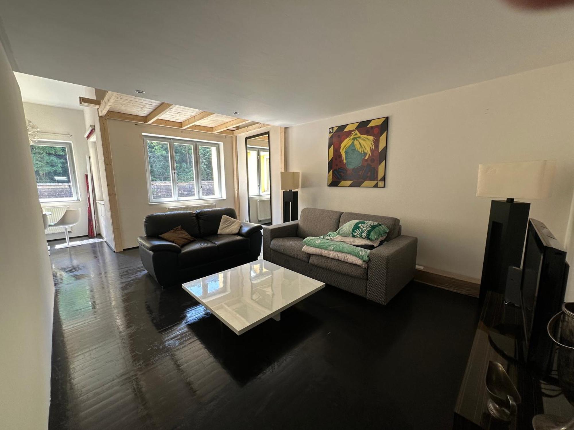 Apartment Spacious Karlin Lofty Prague