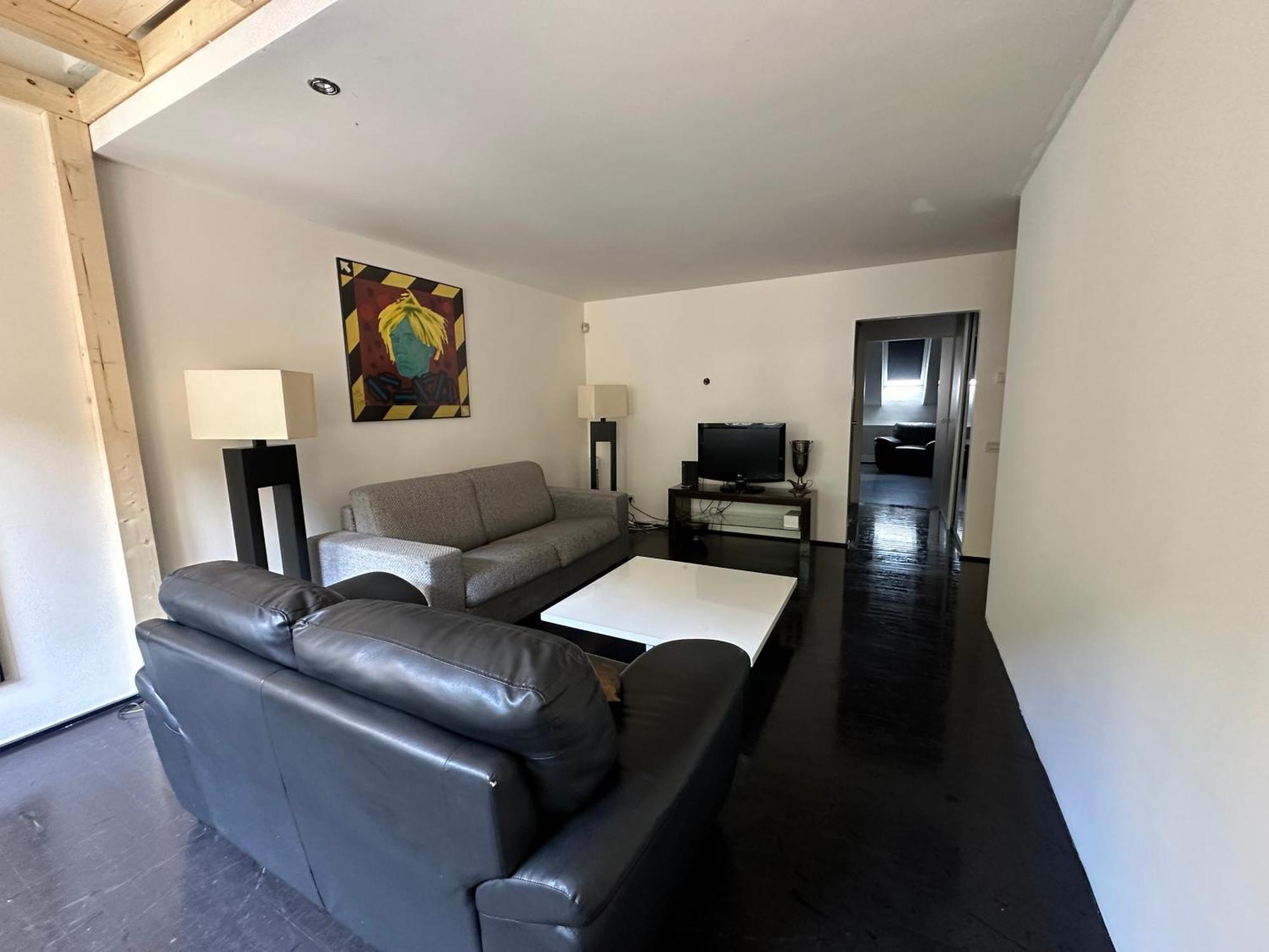 Spacious Karlin Lofty * Prague