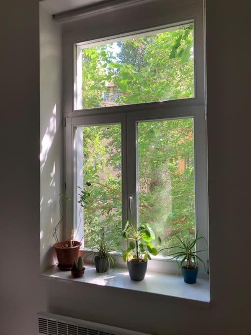 Apartment Cozy Karlin *