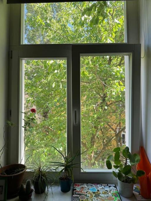 Cozy Karlin Apartment