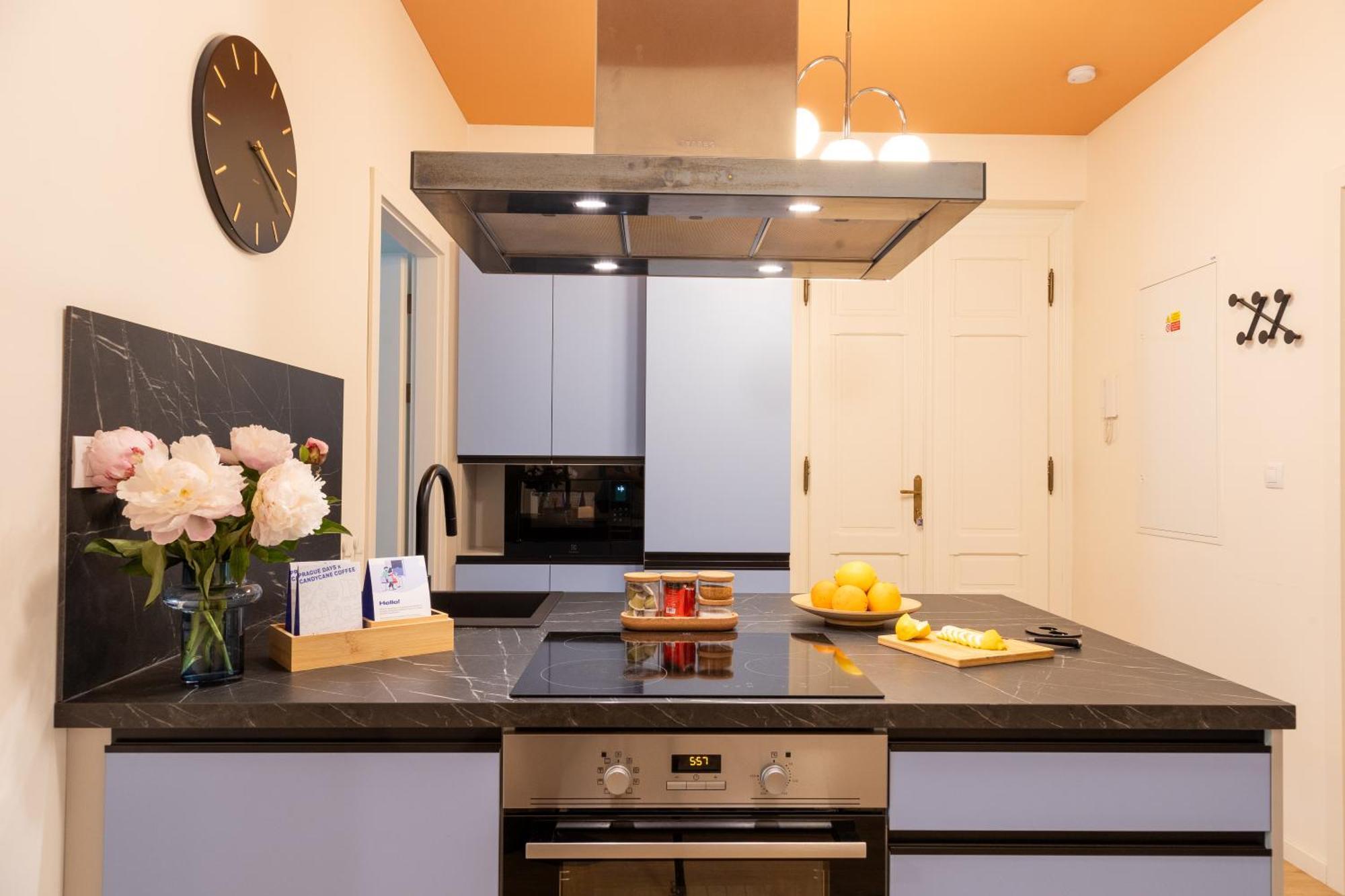 3bdr With Terrace And Electric Grill In Vinohrady By Days *
