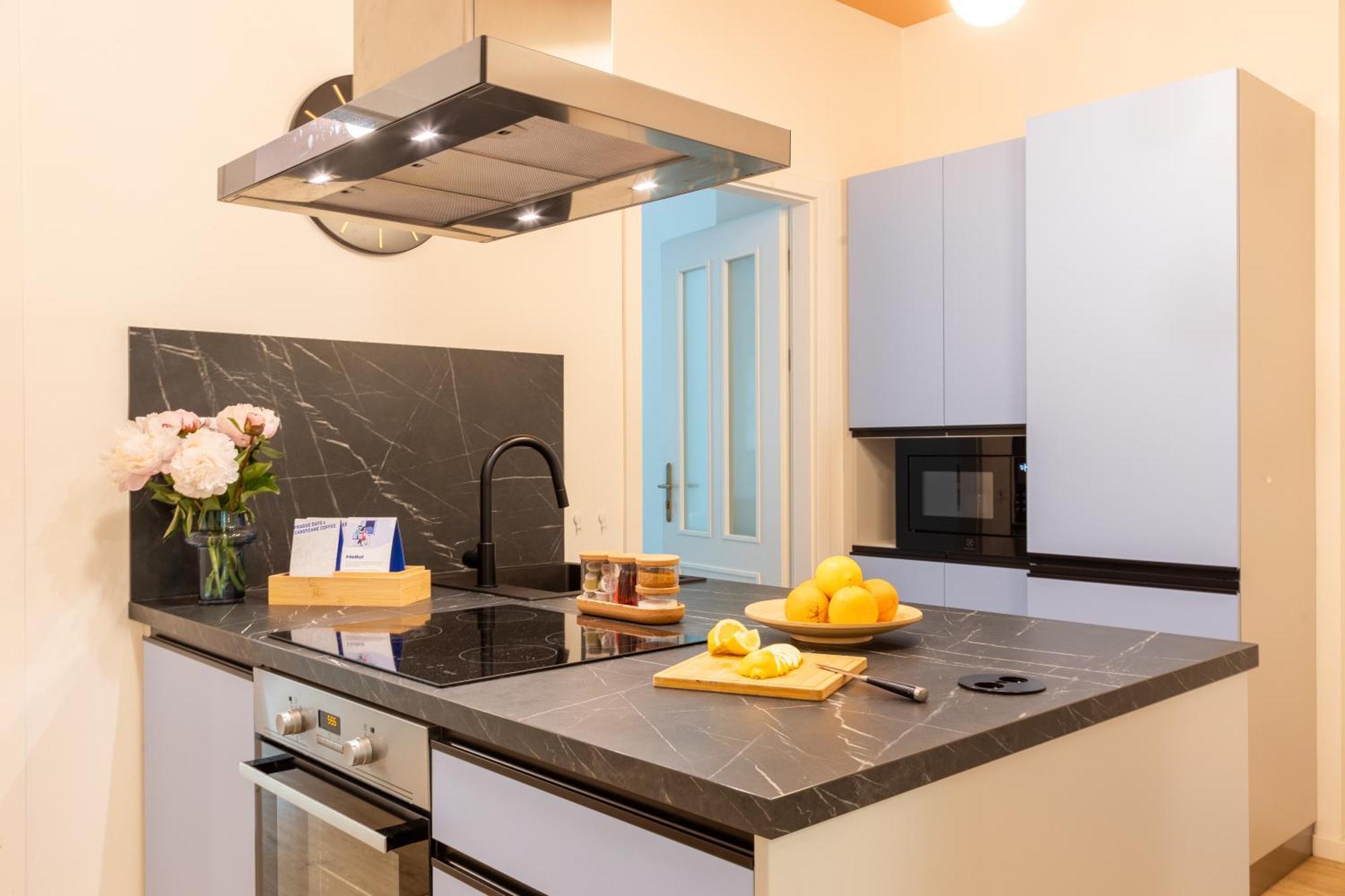 3bdr With Terrace And Electric Grill In Vinohrady By Days *