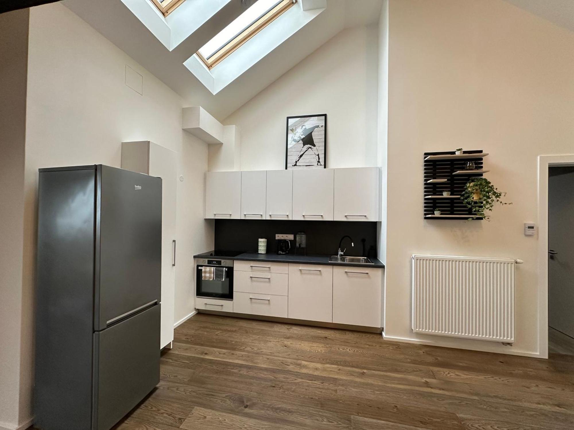 Apartment Loft Prag