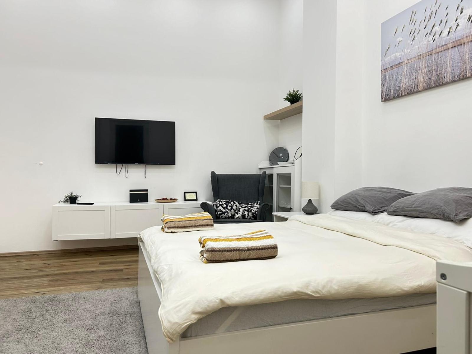 Apartment Entire Unit In The Center Of Prague