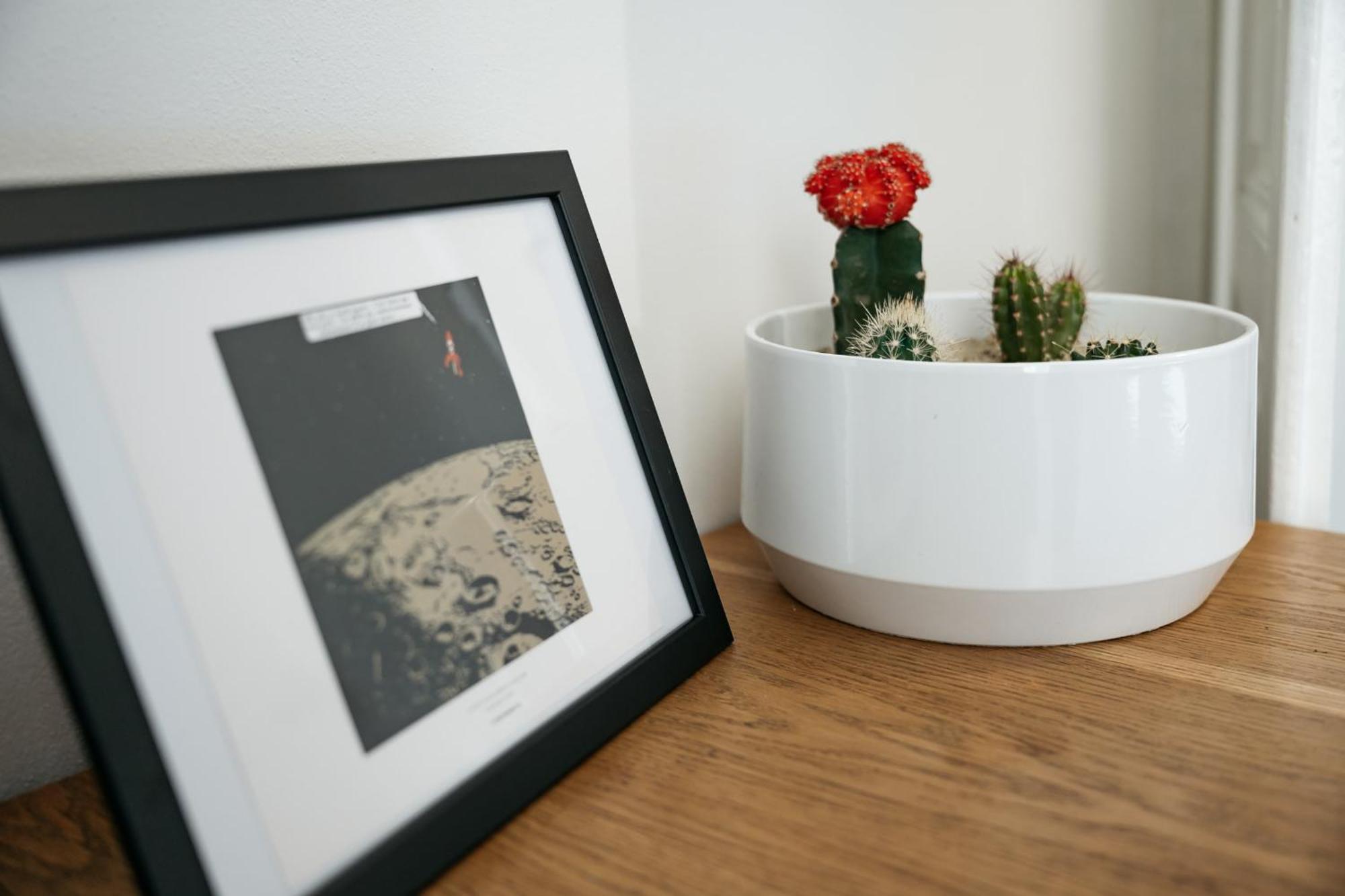 Comfortable And Cosy A Few Steps From Dancing House And Naplavka Dance Prague