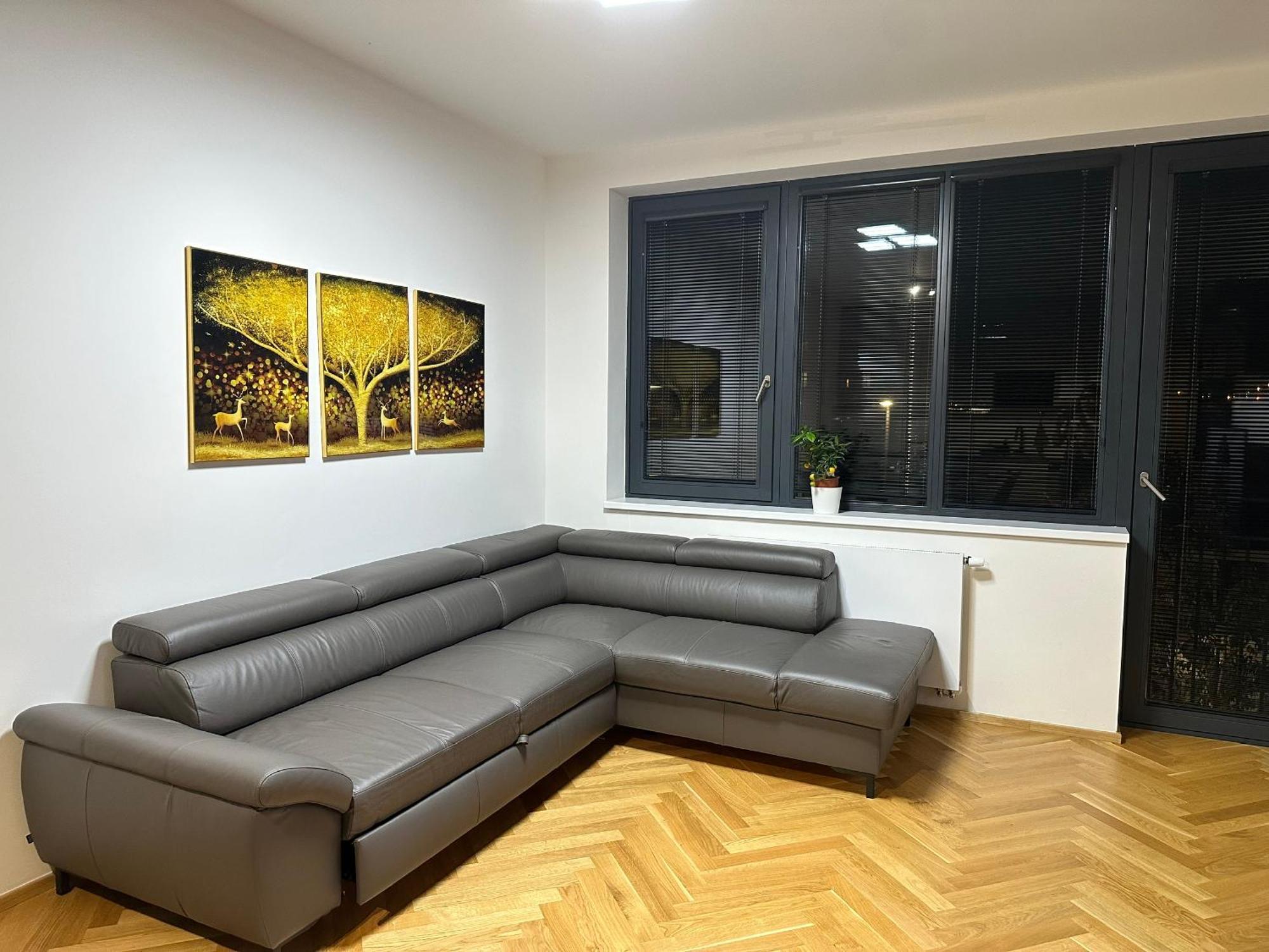 Apartment Smichov Prague
