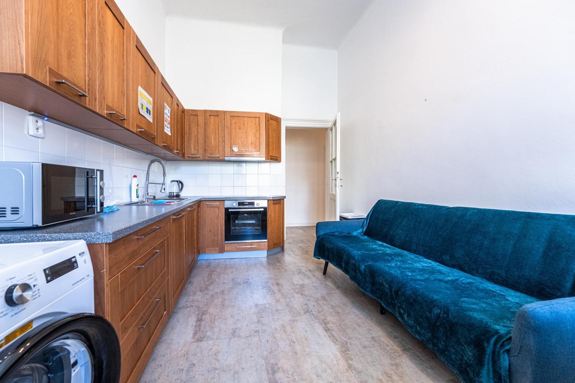 Apartment Safarikova 18 *