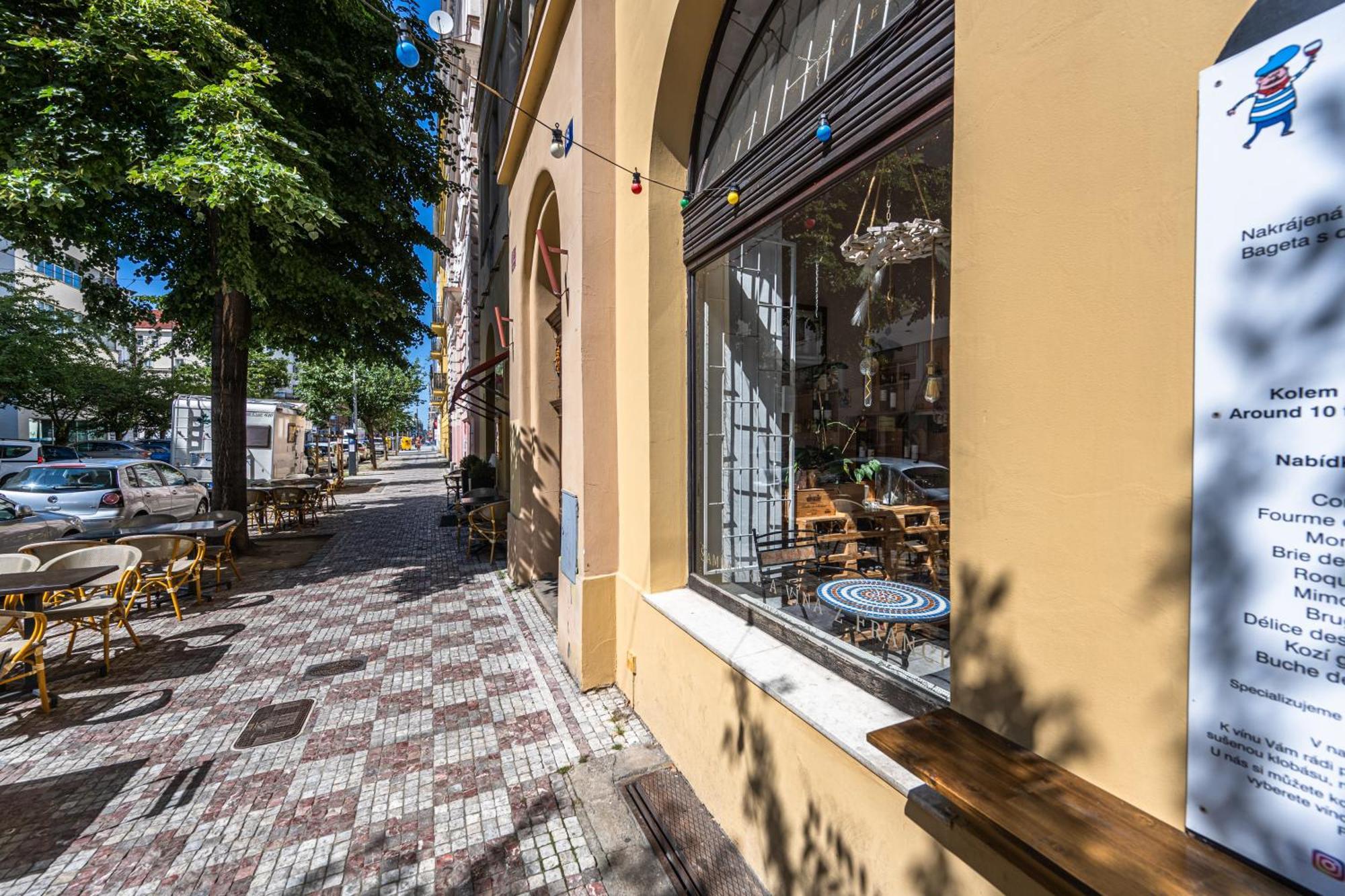 Apartment Safarikova 18 Prague
