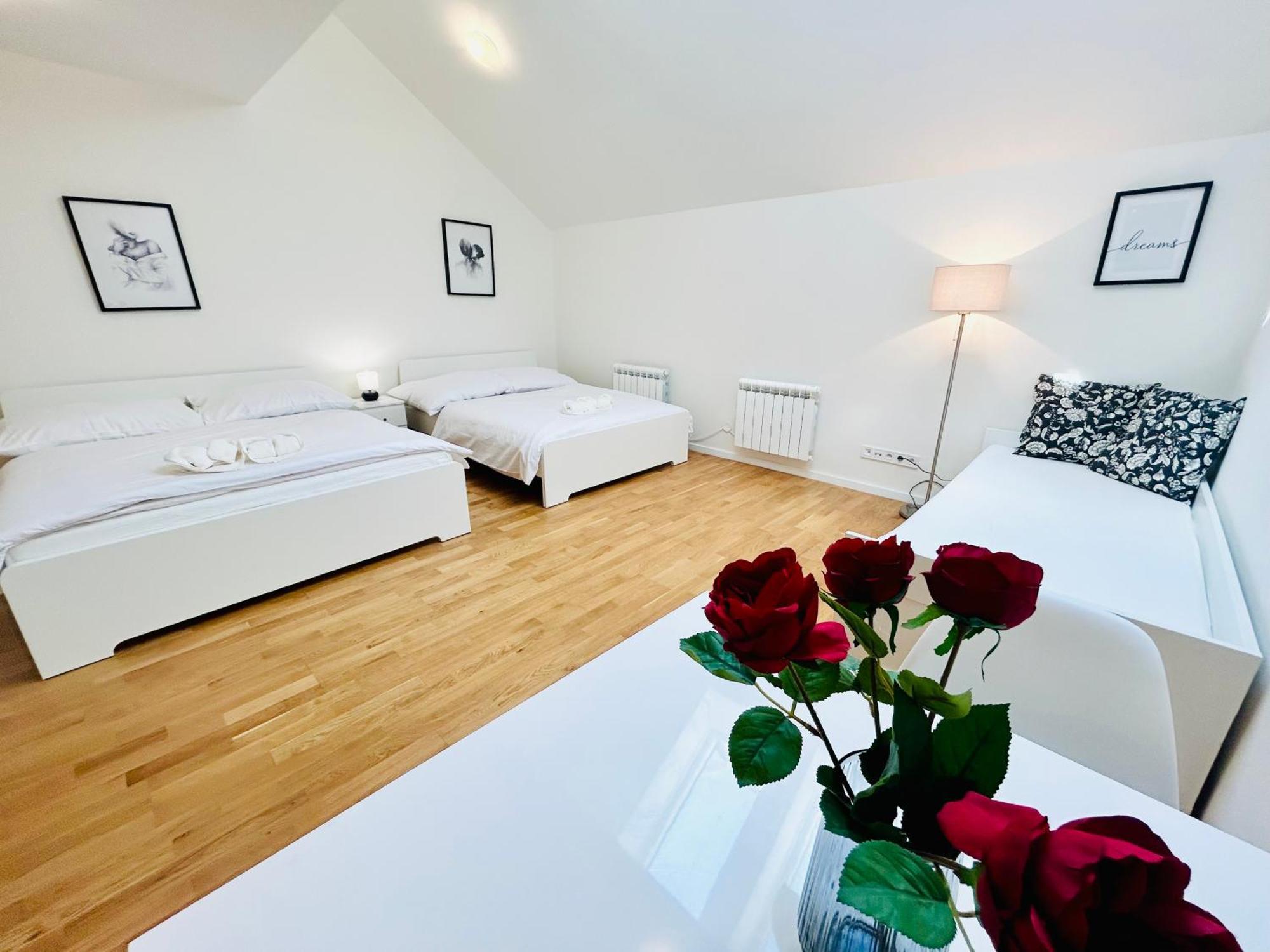 Apartment Cozy Design Right Next To Wenceslas Square *