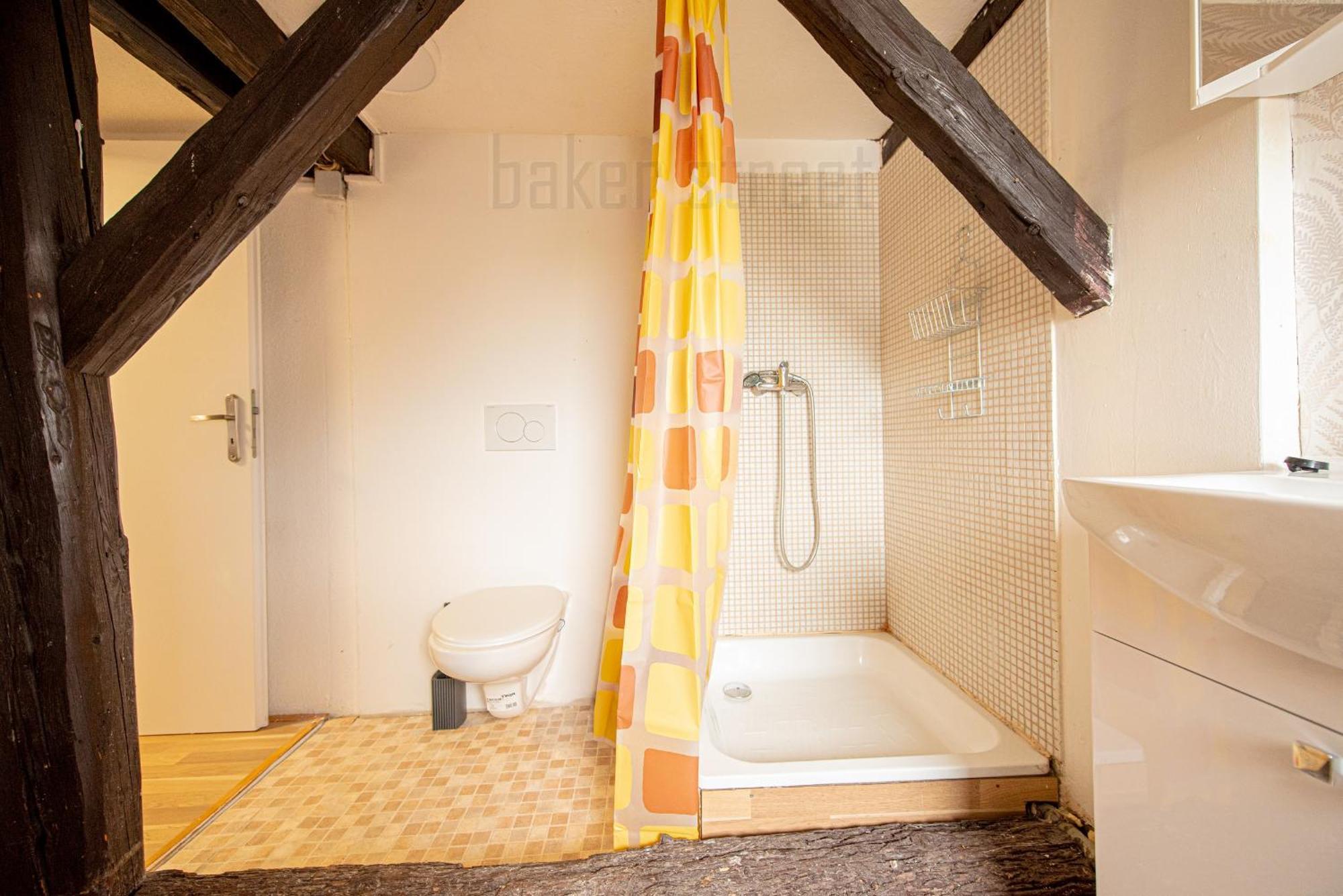 Apartment Attic 3 Bedrooms With 2 Bathrooms Prag