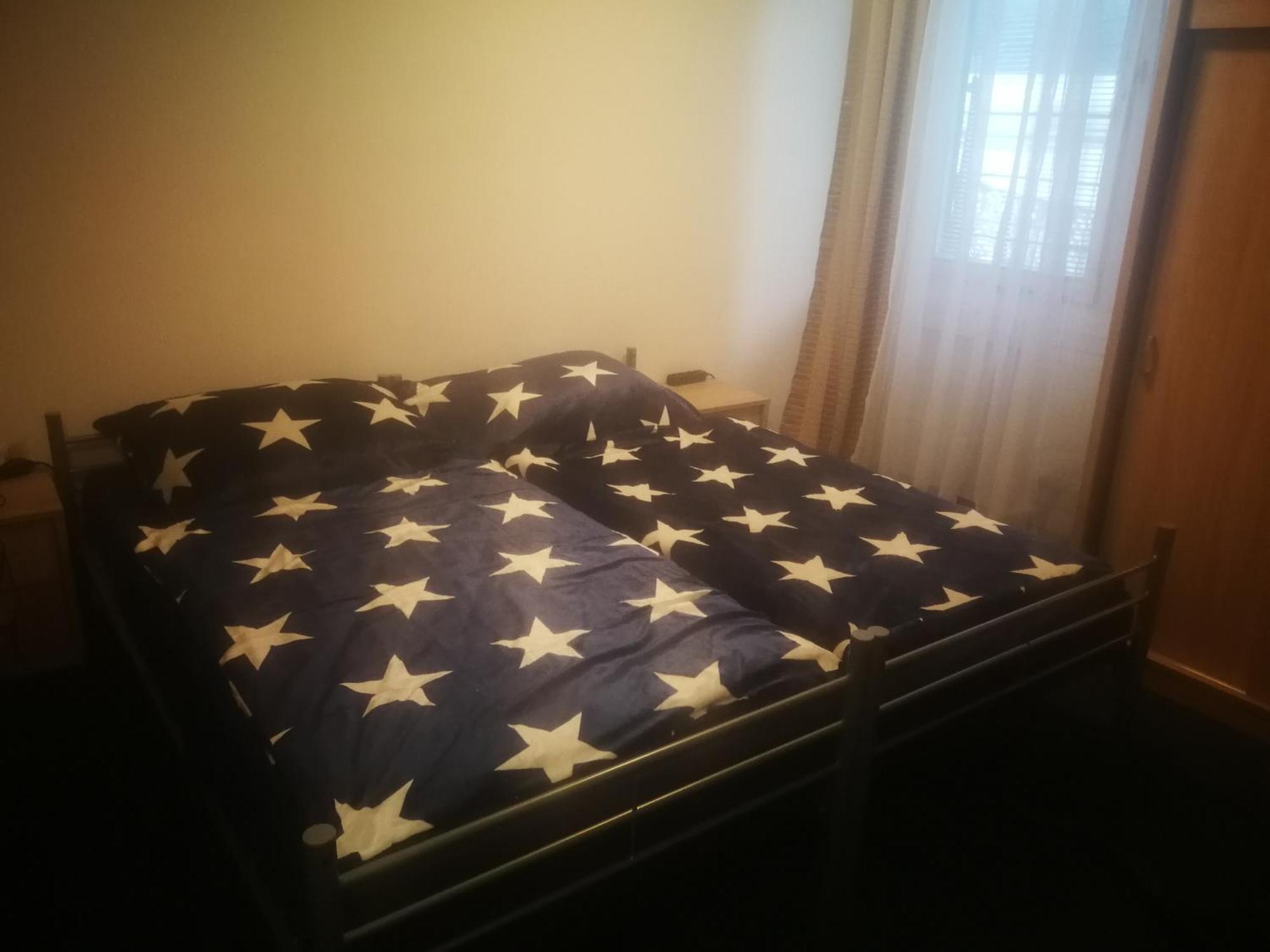 Rena Guest house *