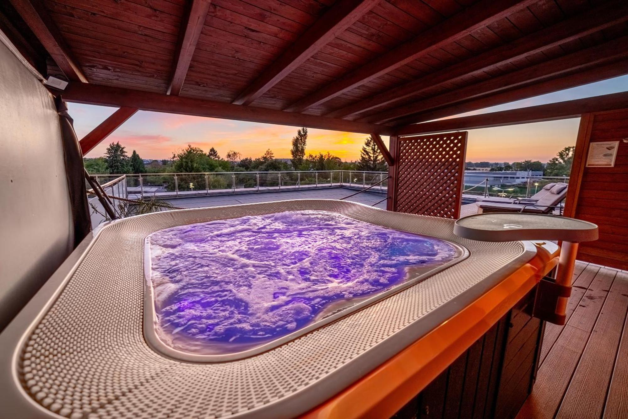 Aura Design & Garden Pool 3* Prague