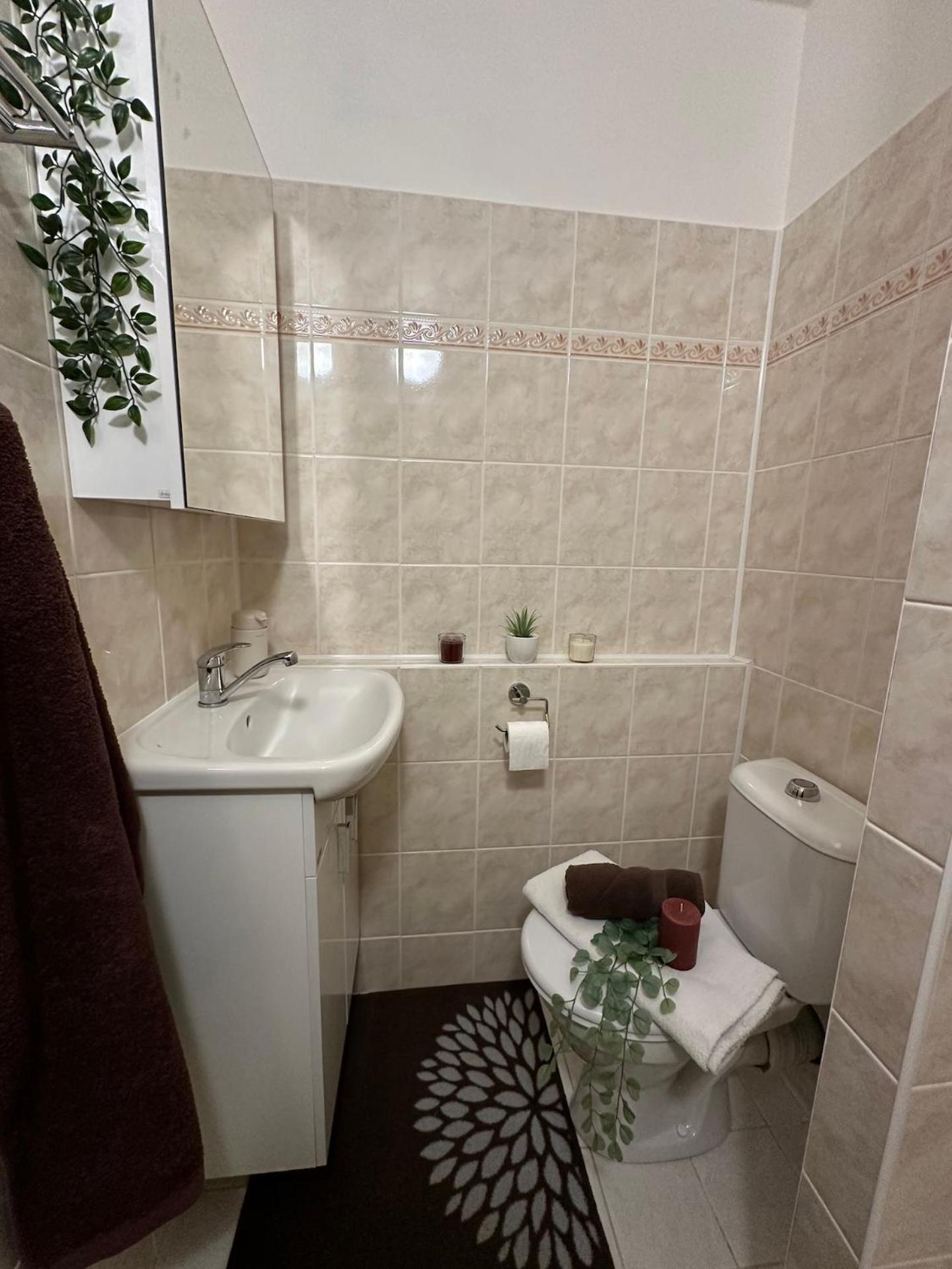 Apartment Cozy Near Centre Prague