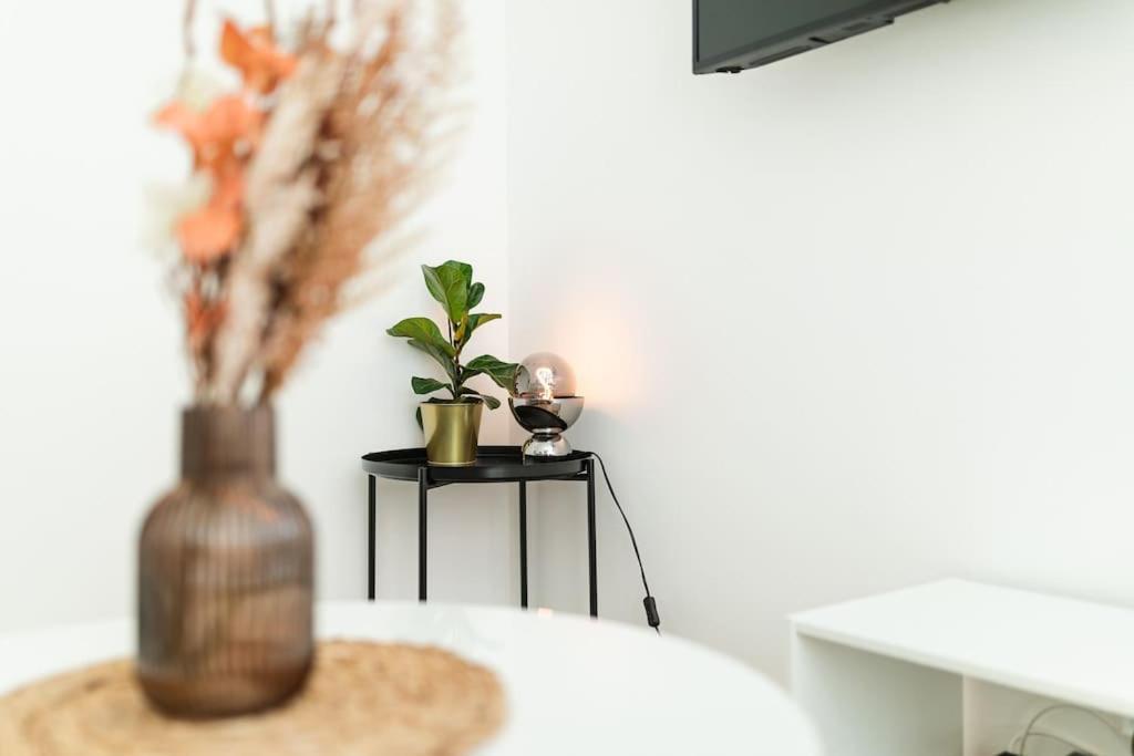 Apartment Sv