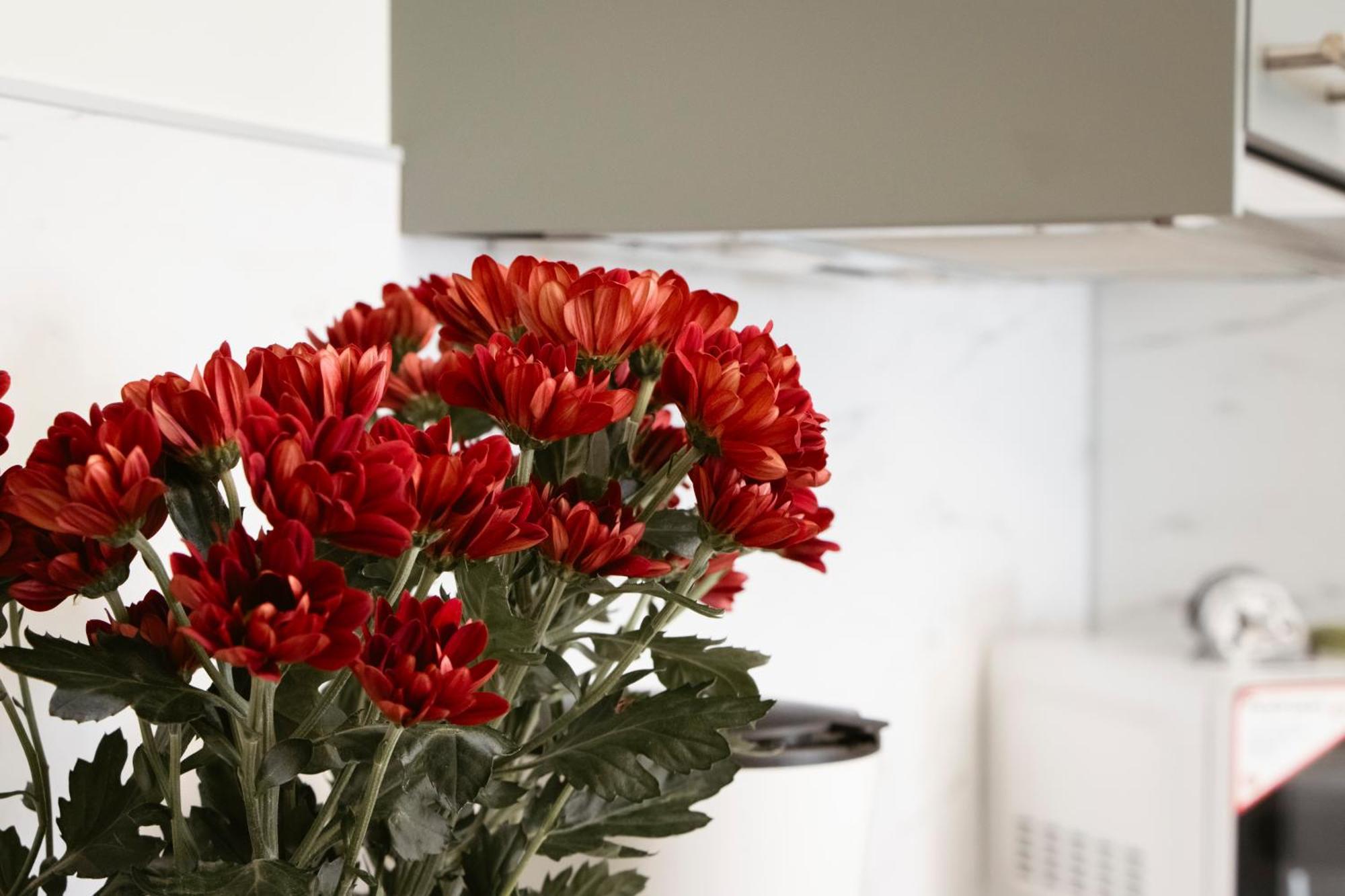 Anastasie Apartment Prag