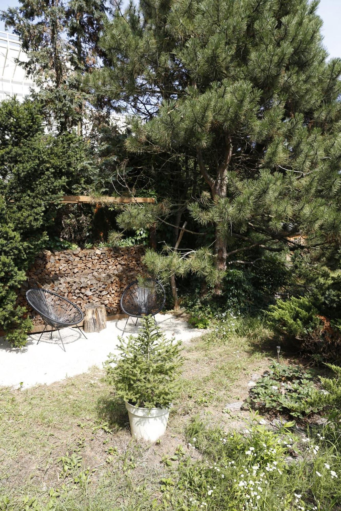 Apartment Large 120m With Garden And Cat Near Zoo Prague