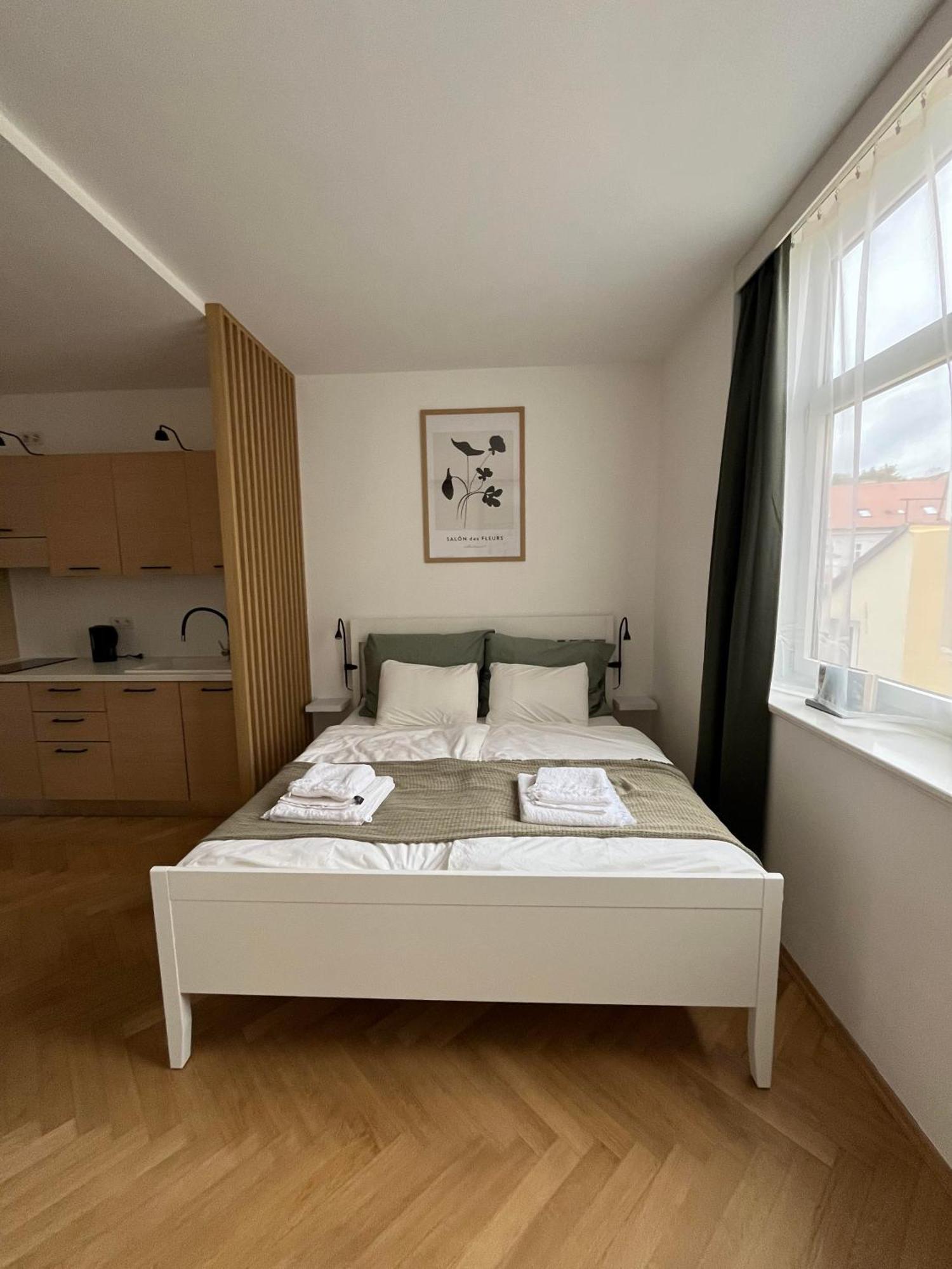 Apartment Brand New Studio In The Center Prague