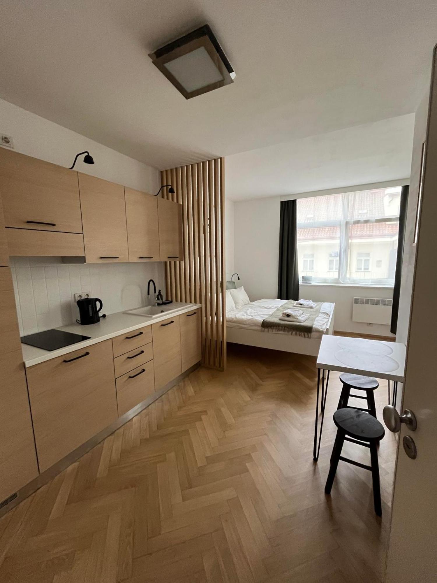 Brand New Studio In The Center Apartment
