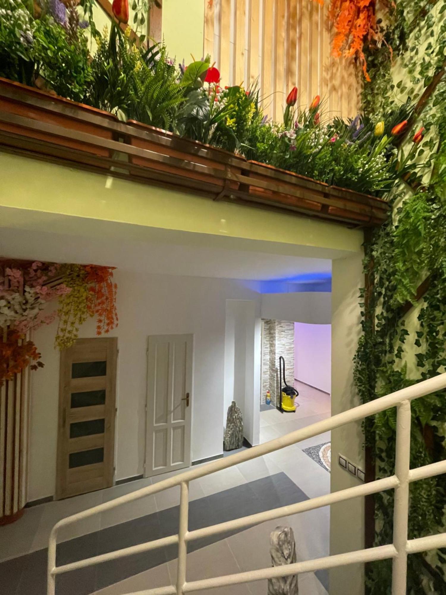 Trung Lo Cao Guest house