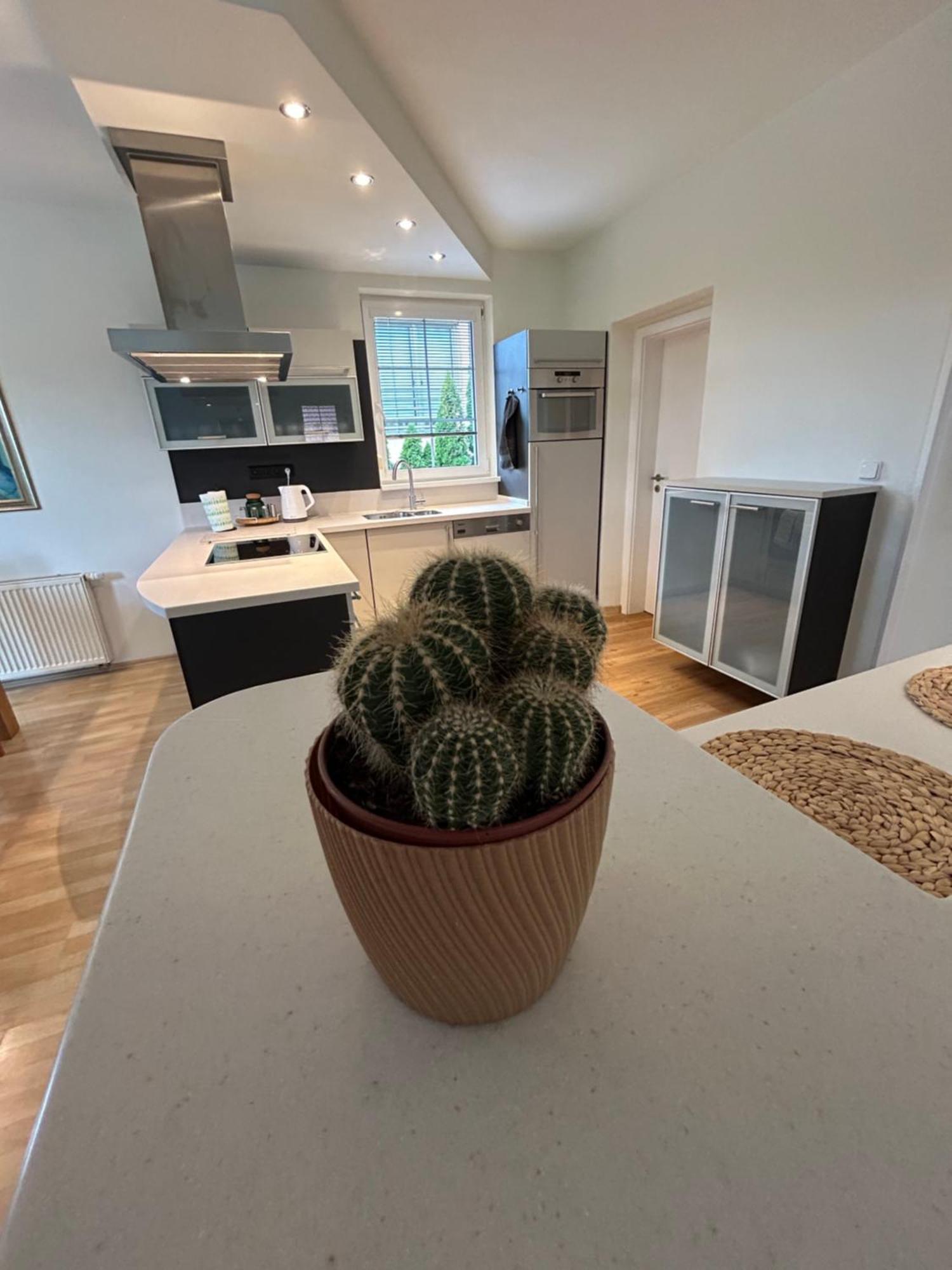 Diamondvilla, 4 Bedroom Apartment, Garden & Appartement Prague