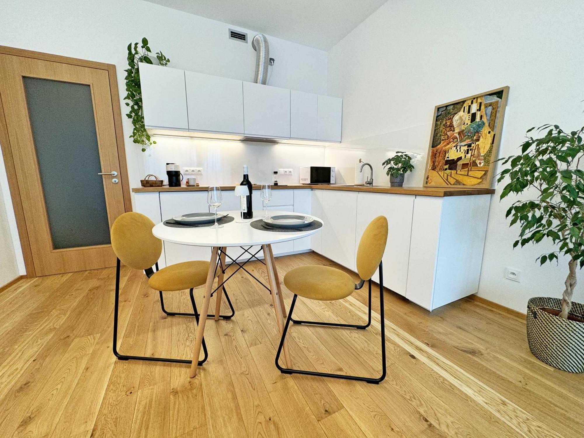 New Studio, King Bed, Free Parking, Terrace Apartment Prag