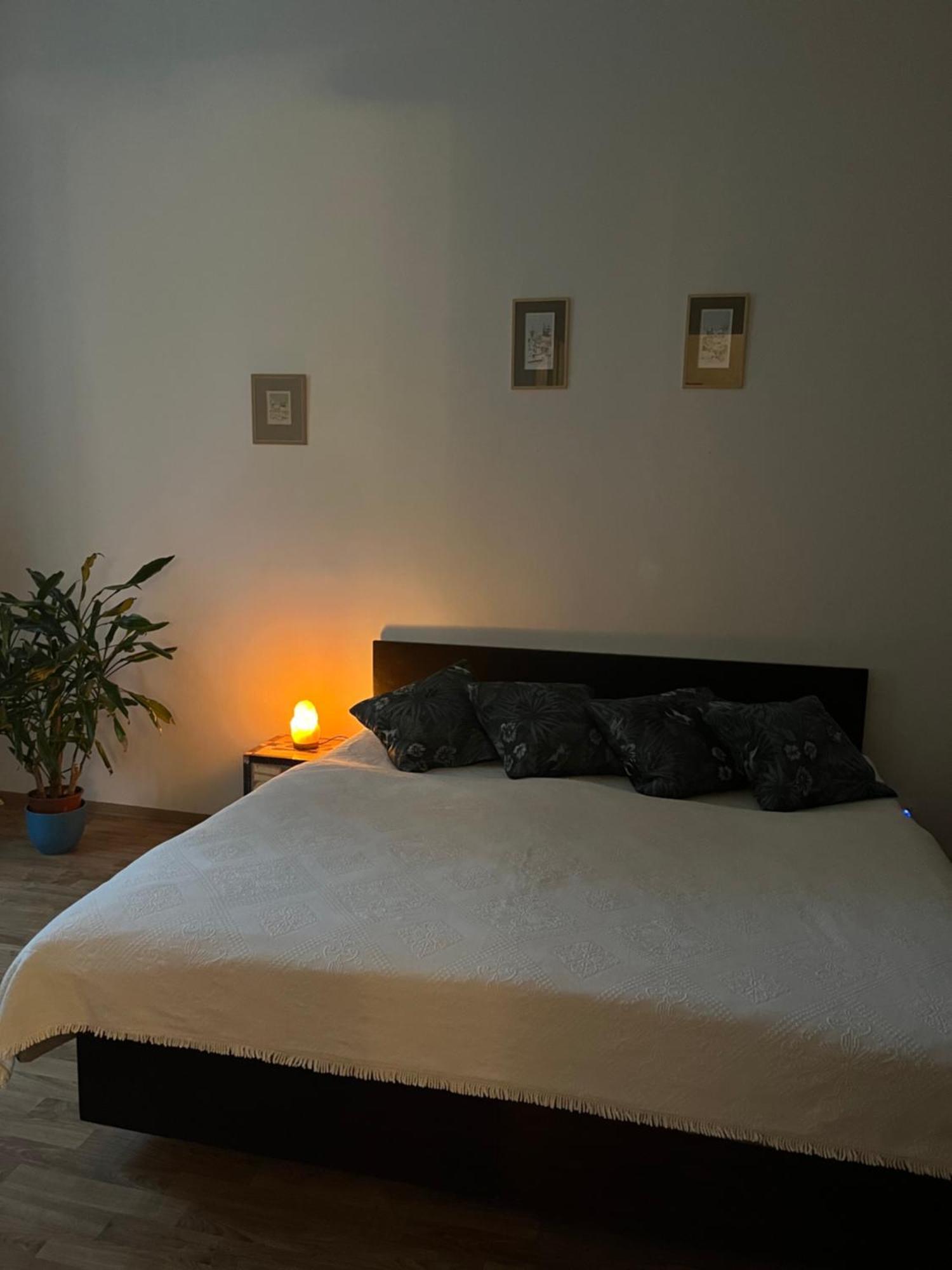 Apartment Retro In