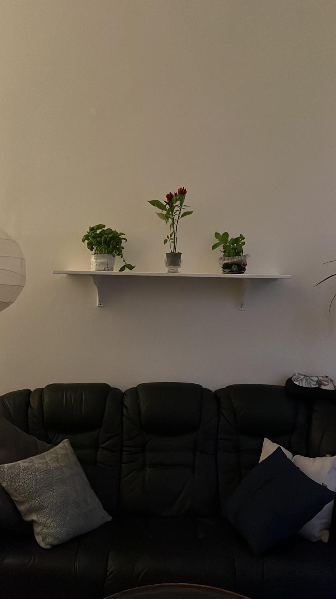 Apartment Retro In Prague