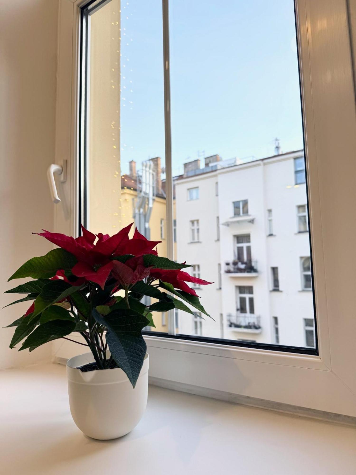 By Charles Bridge Appartement