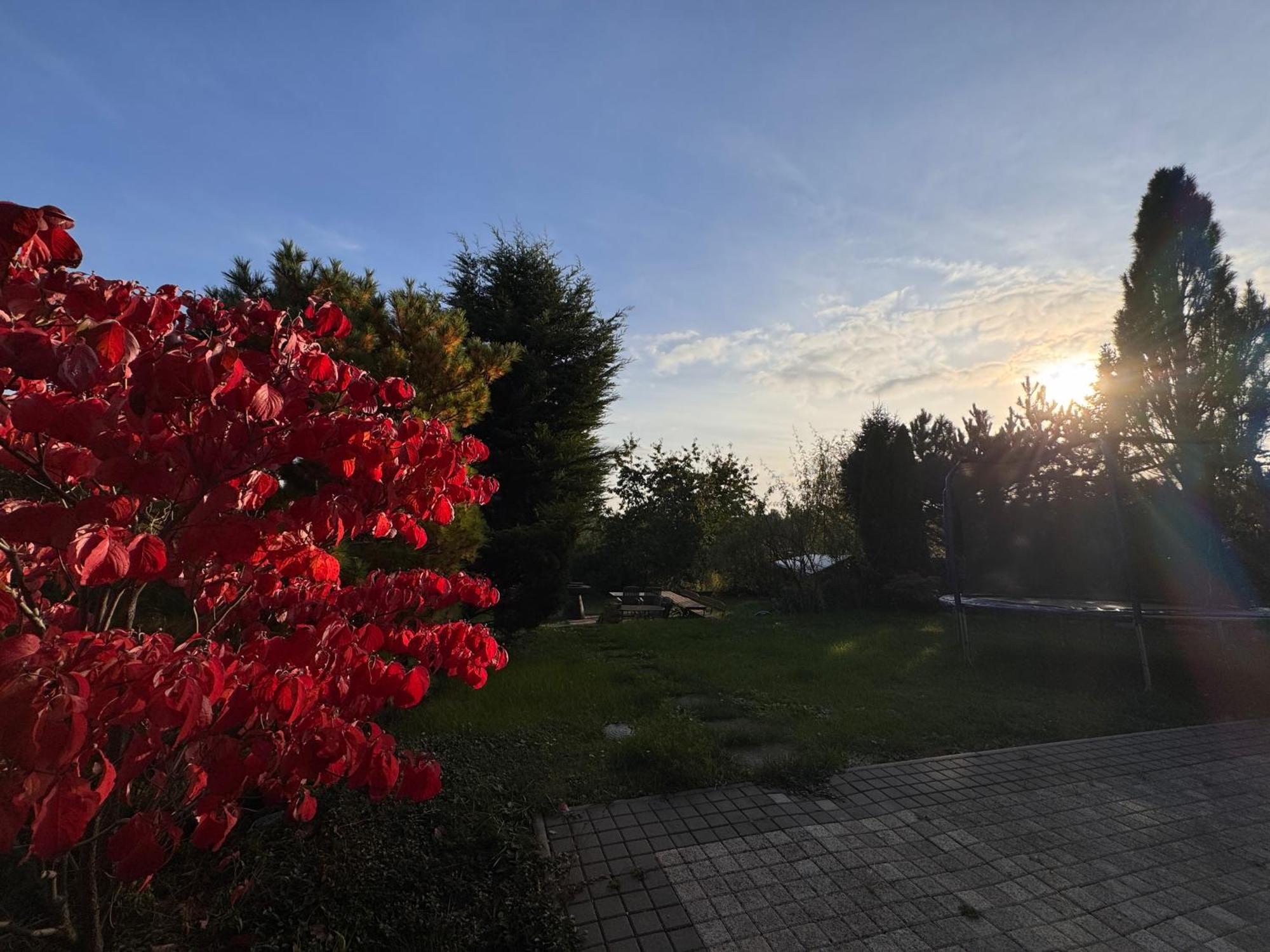 Diamondvilla, 4 Bedroom Apartment, Garden & Appartement *