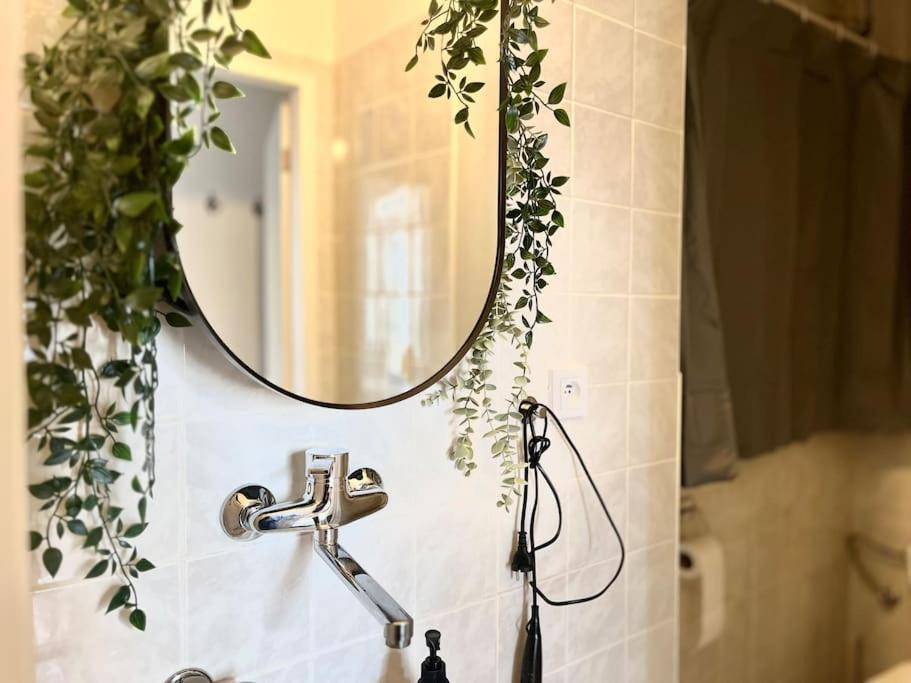 Wenceslas - Appartement Prague