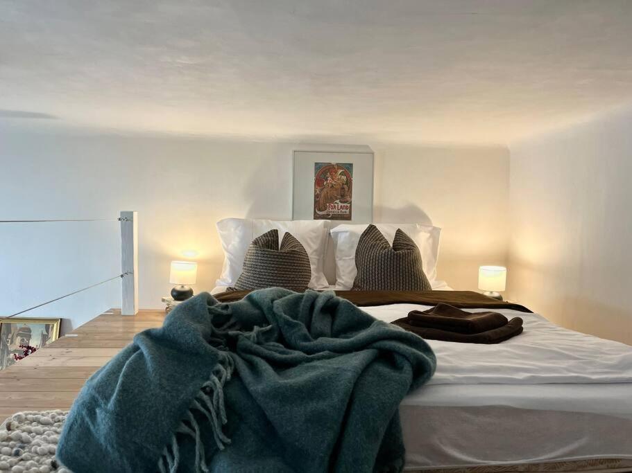 Wenceslas - Appartement Prague
