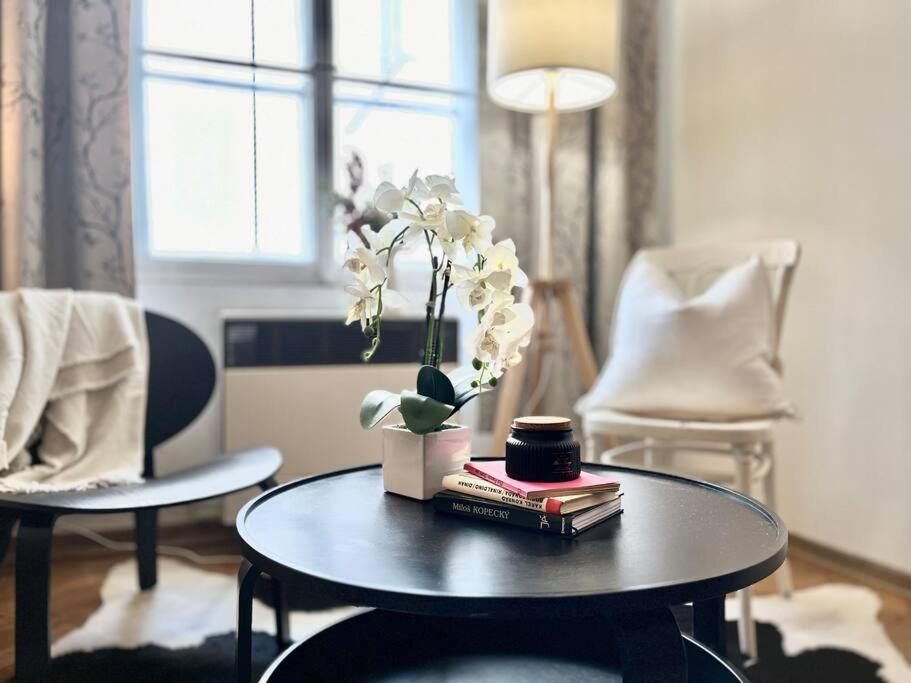 Wenceslas - Appartement *
