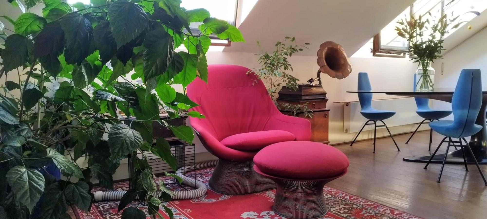 Guestrooms, Rooftop With Garden, Spacious Living Room, Character And Fireplace Gasthof