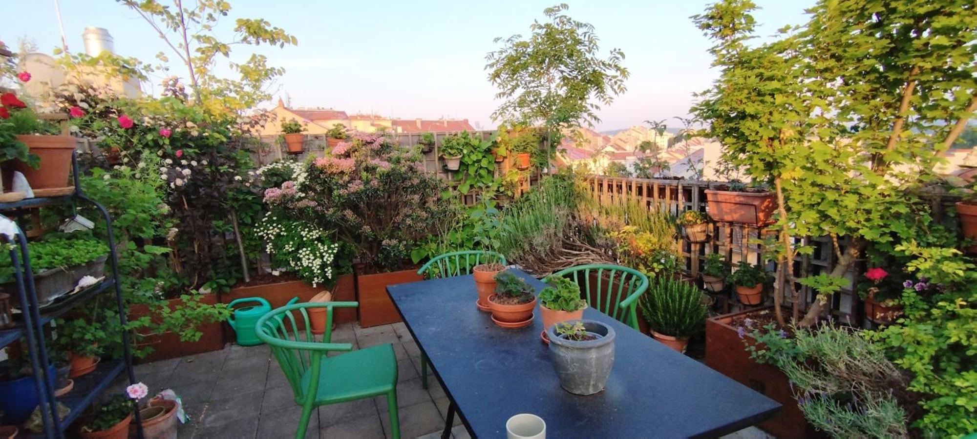 Guestrooms, Rooftop With Garden, Spacious Living Room, Character And Fireplace Gasthof