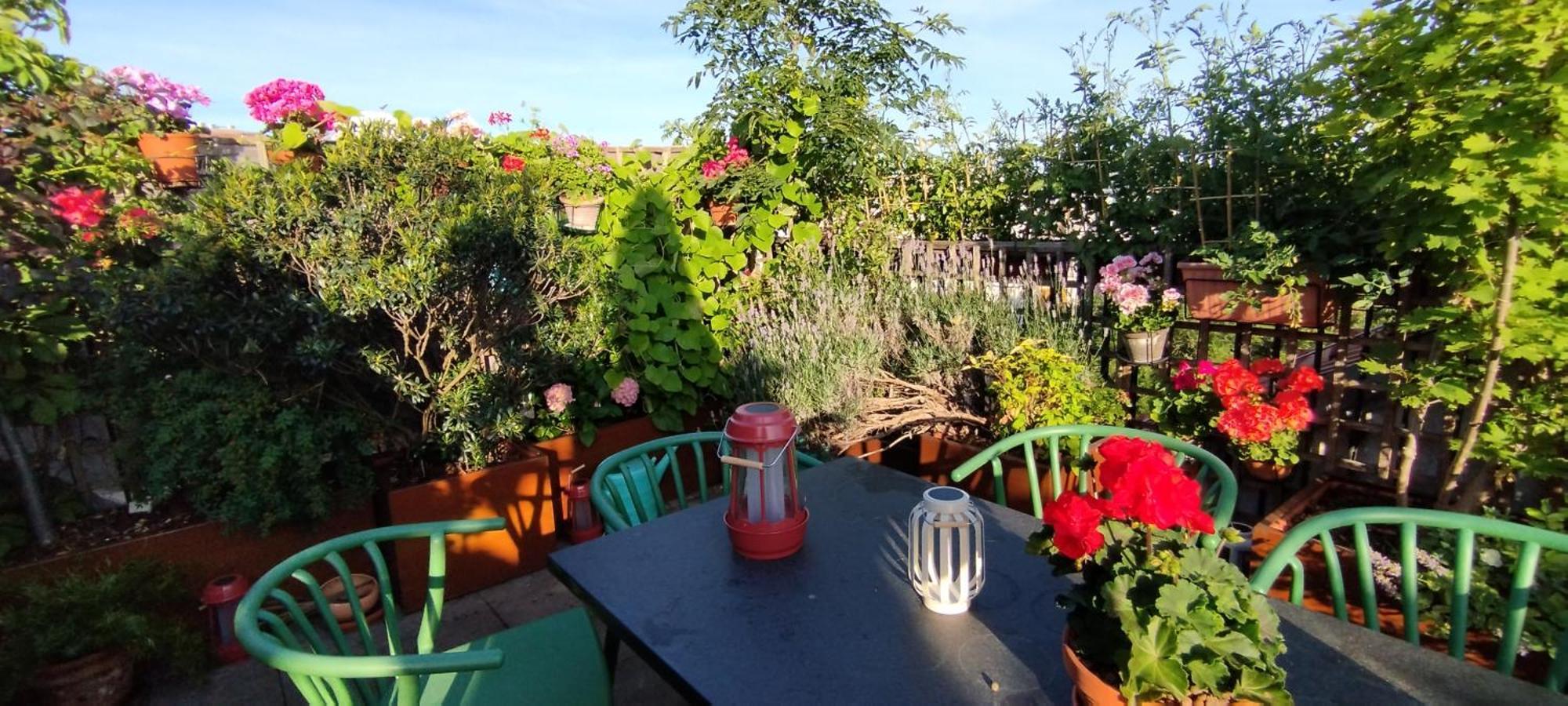 Gasthof Guestrooms, Rooftop With Garden, Spacious Living Room, Character And Fireplace