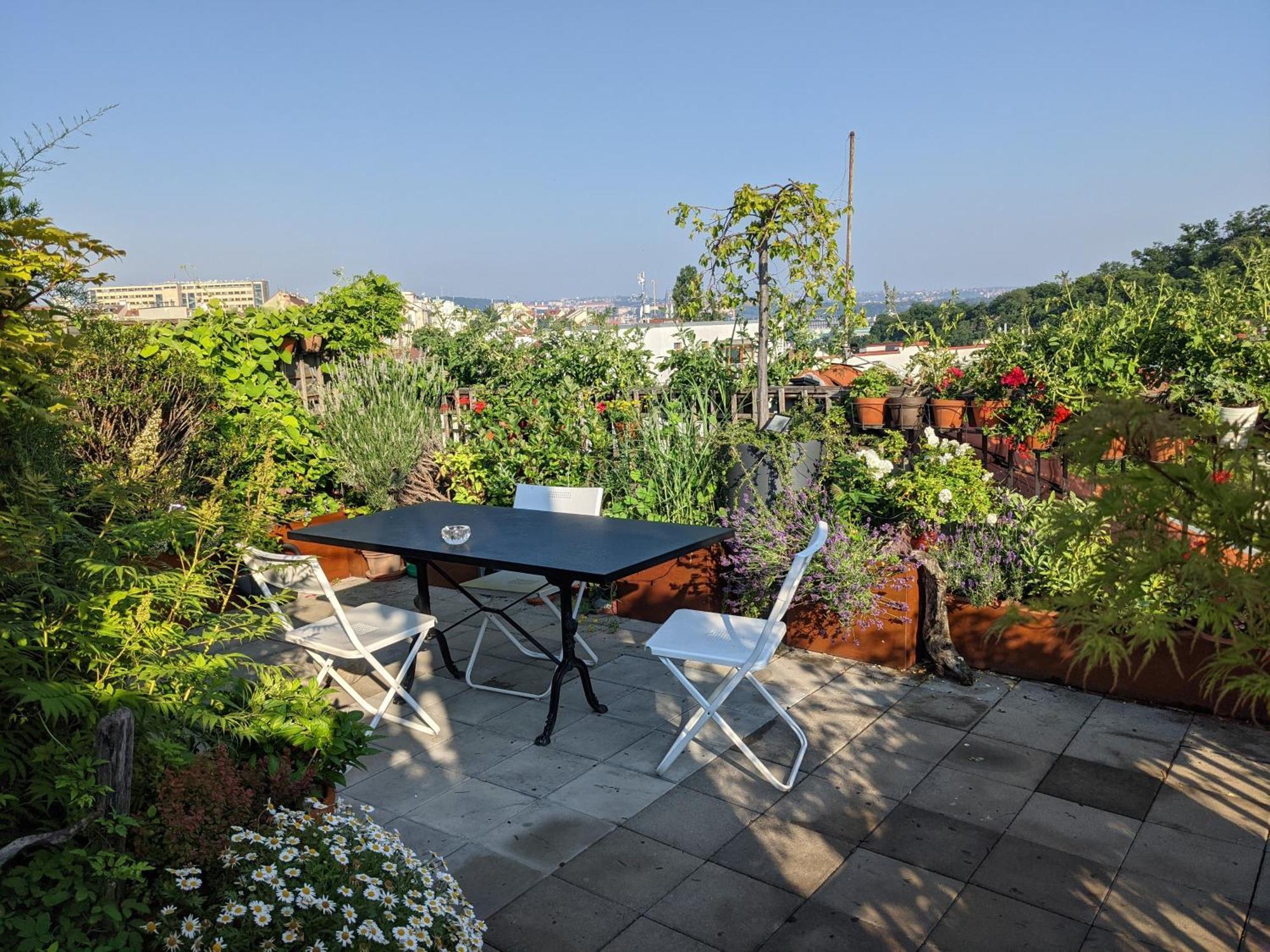 Guestrooms, Rooftop With Garden, Spacious Living Room, Character And Fireplace Gasthof