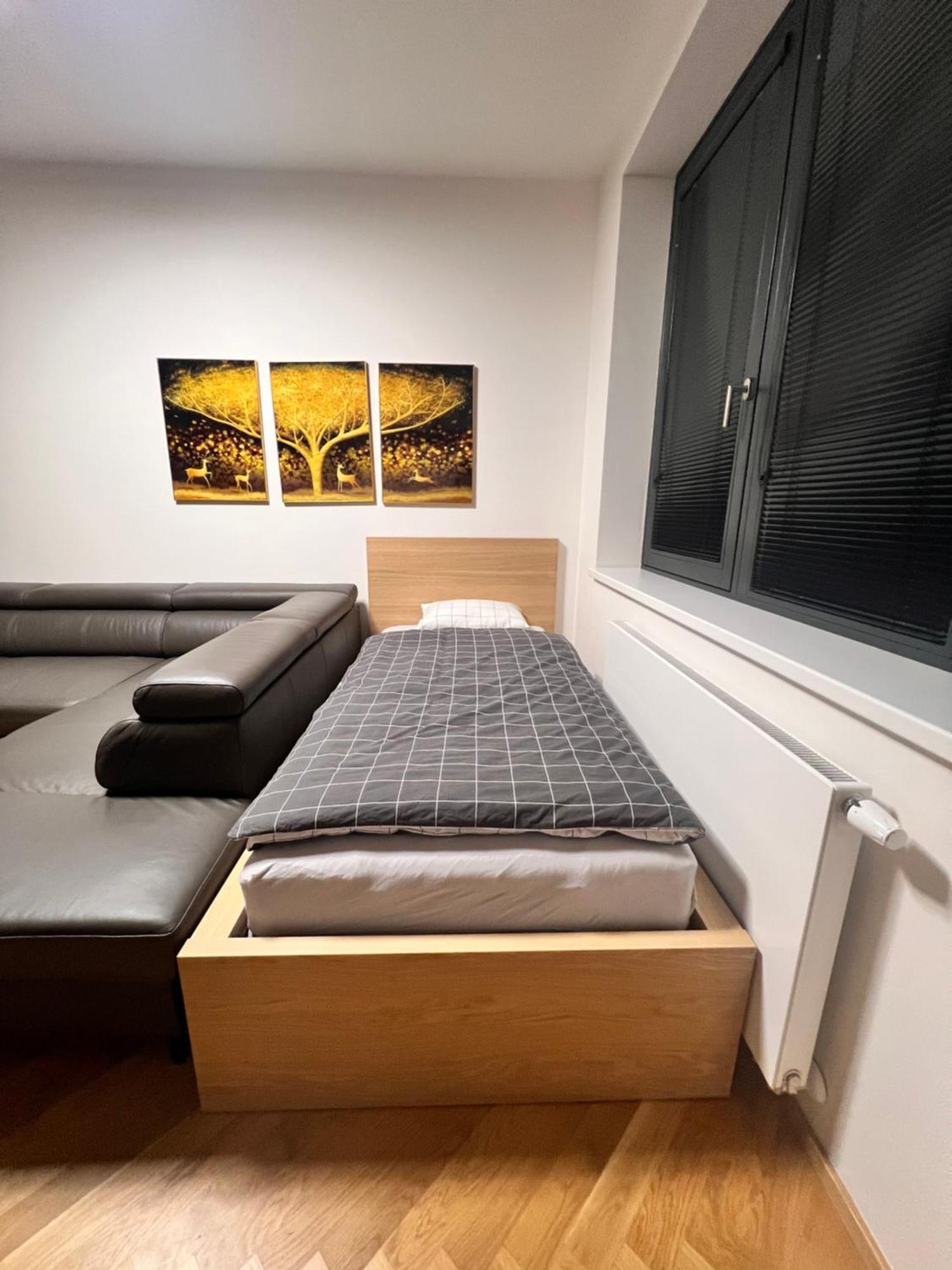 Apartment Smichov Prague