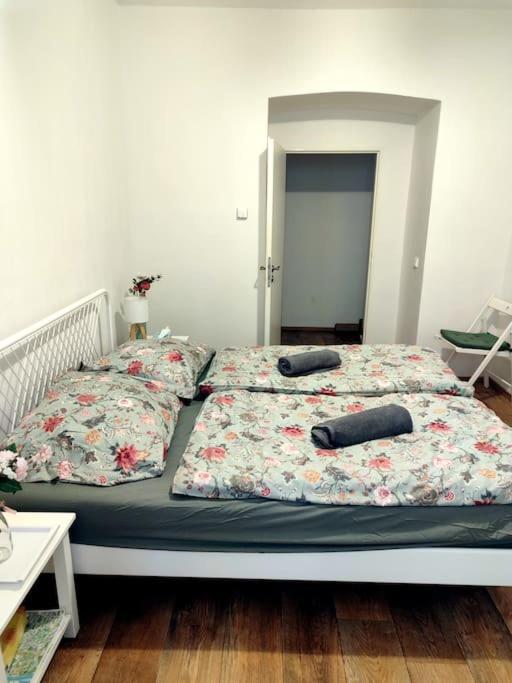 Apartment One Bedroom In Zizkov