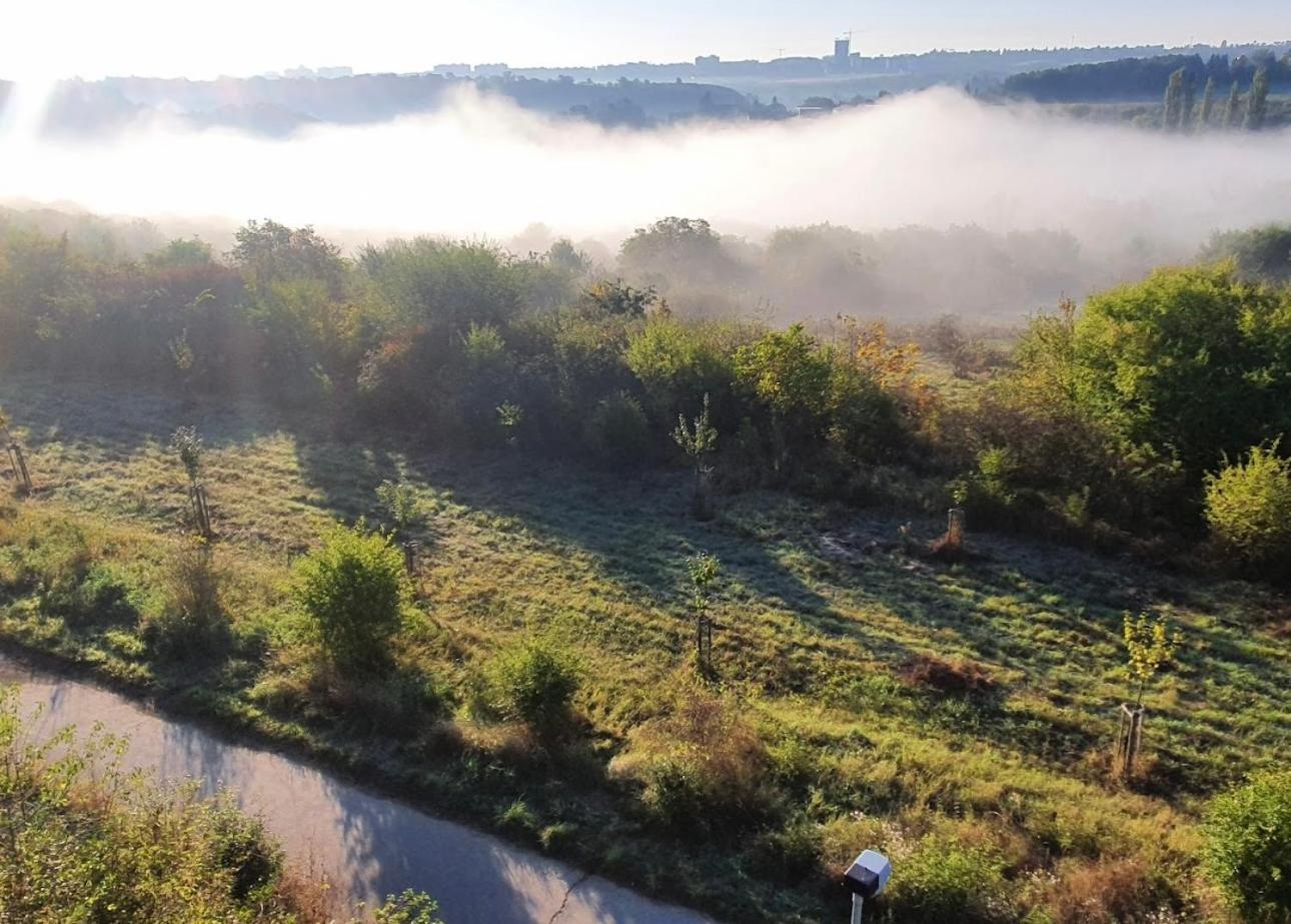 Diamondvilla, 4 Bedroom Apartment, Garden & Appartement Prague