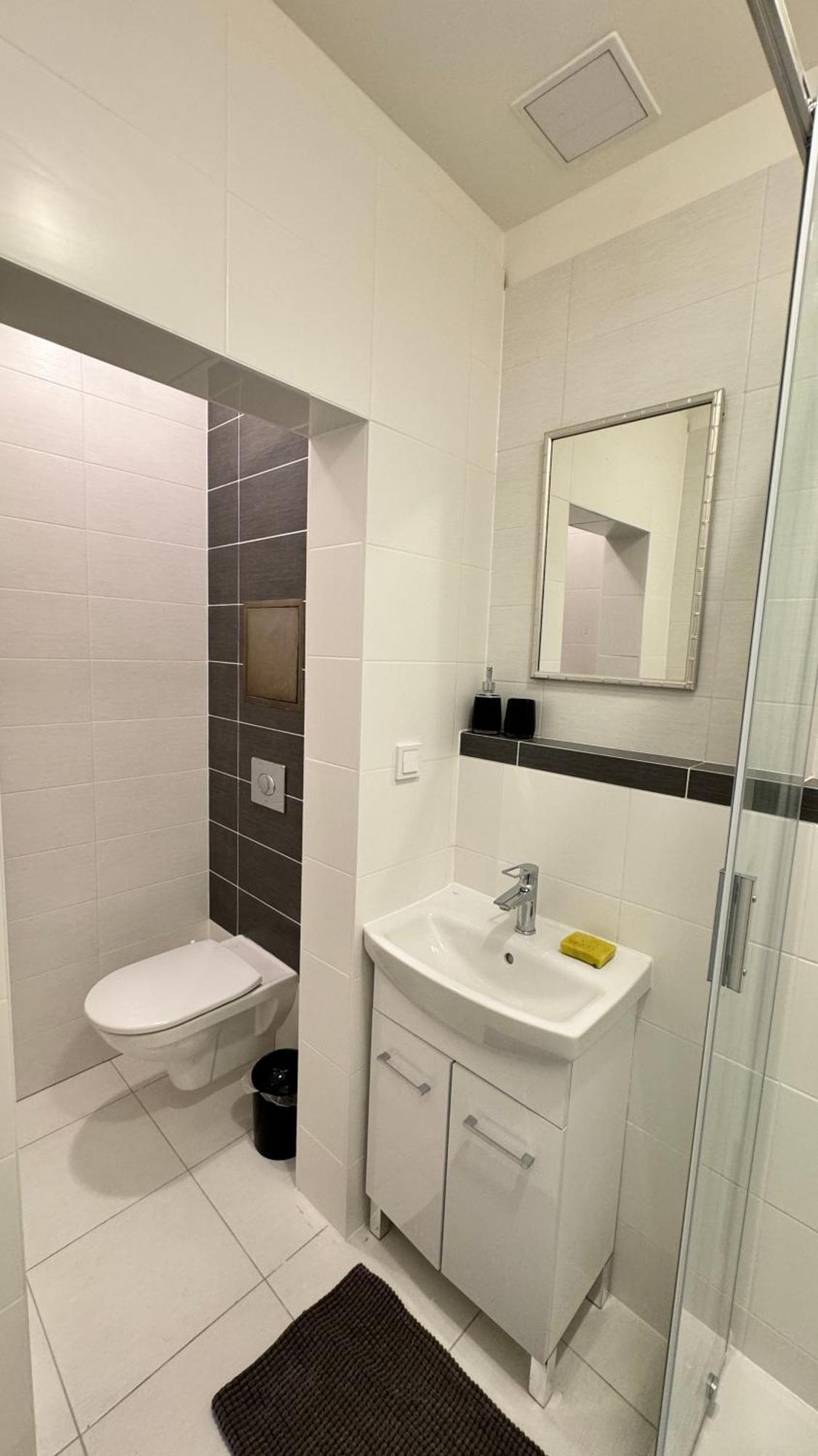 Apartment Jeseniova Prague