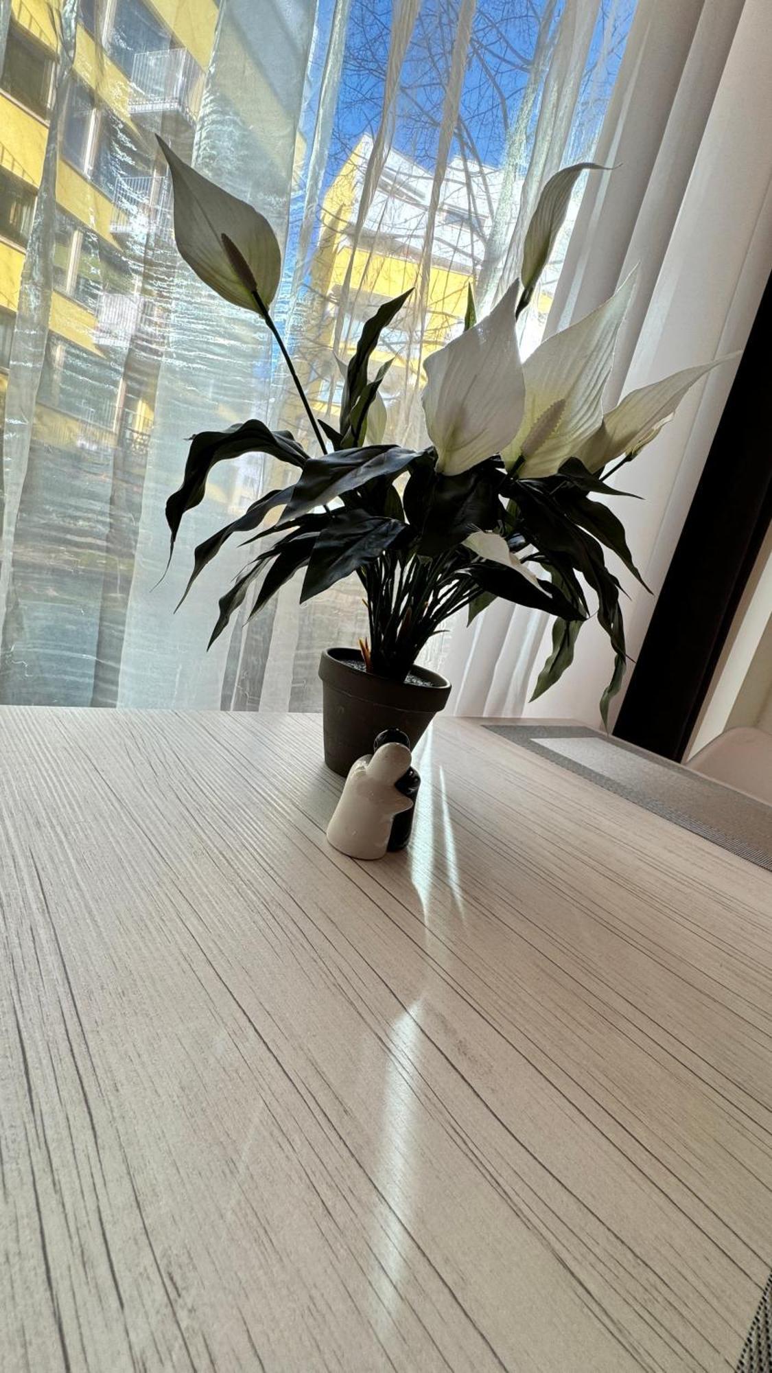 Apartment Jeseniova Prague