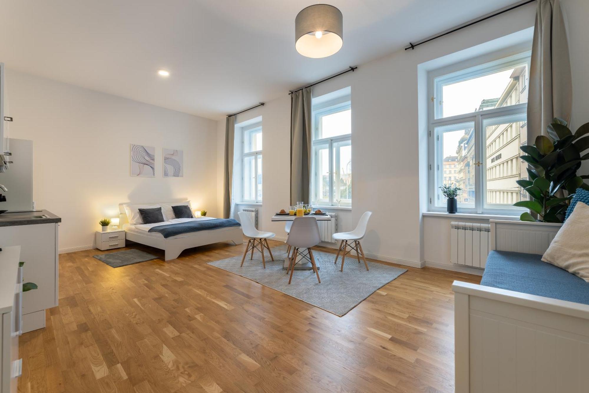 Appartement Petrska Prague