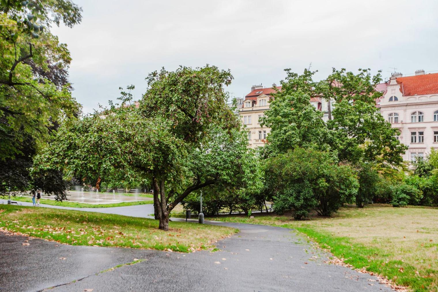 Apartment Blueground 2 Renovated Namesti Miru Prg-33 Prague