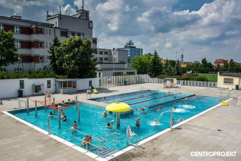 Spacious Flat Near Center Daire