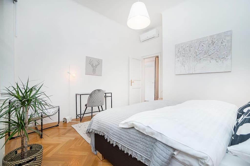 Bright And Designed In The Center Apartment