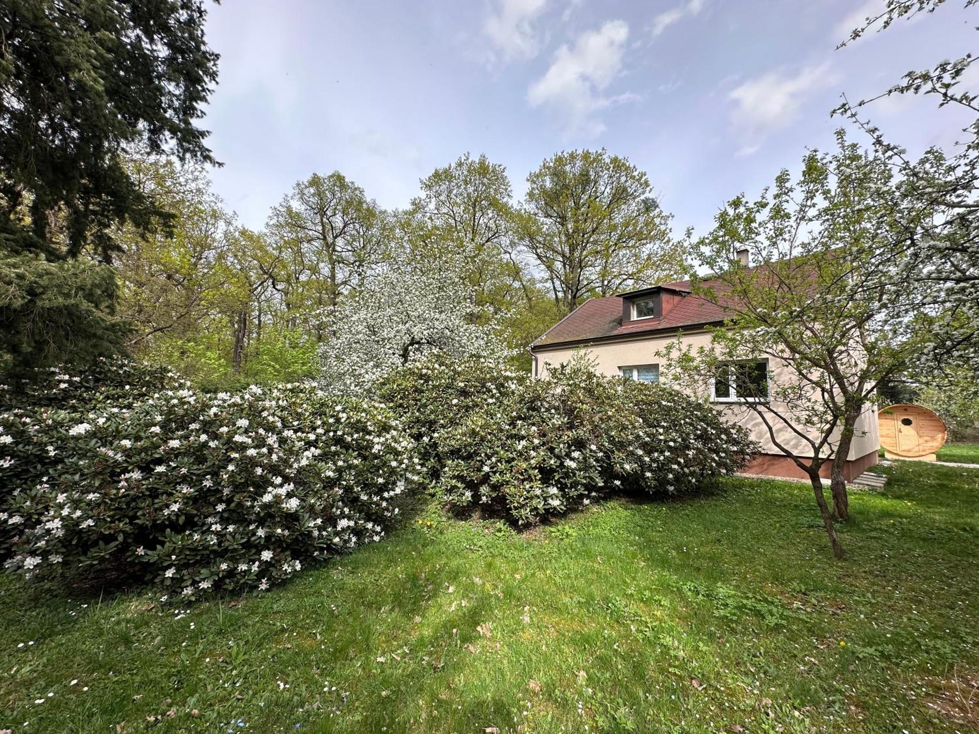 Prague Wellness Home, Forest Getaway Villa *