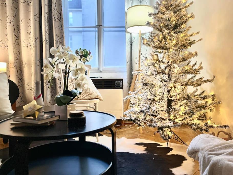 Wenceslas - Appartement